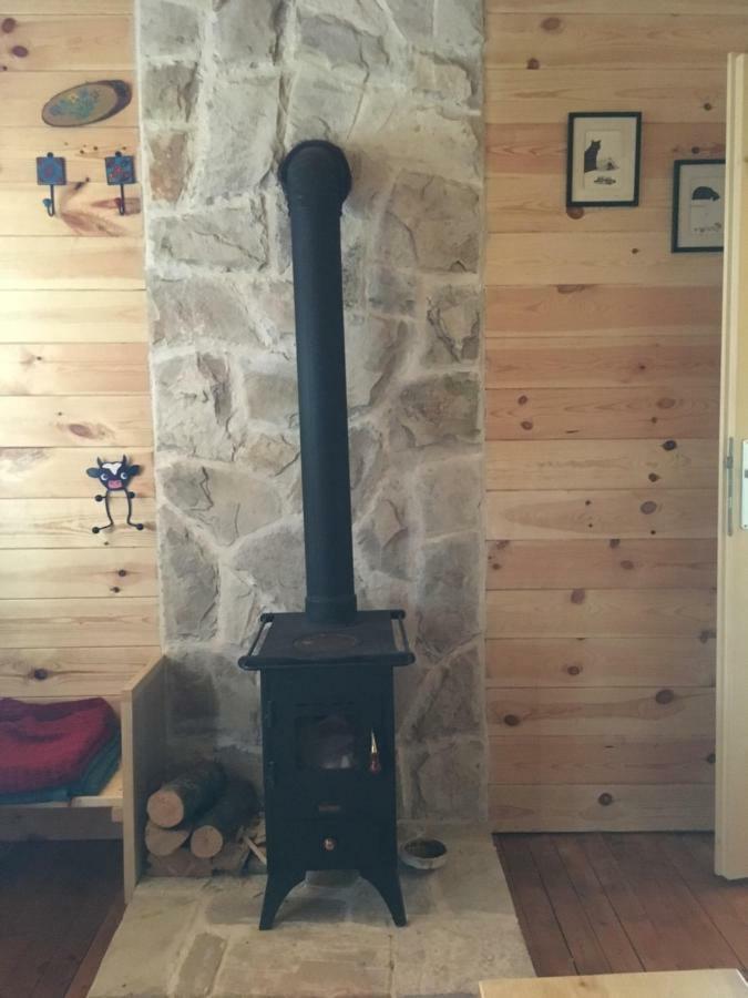 Cozy Cabin Zabljak  Ngoại thất bức ảnh