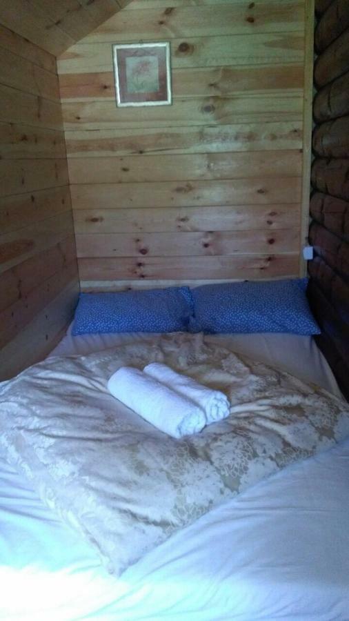 Cozy Cabin Zabljak  Ngoại thất bức ảnh