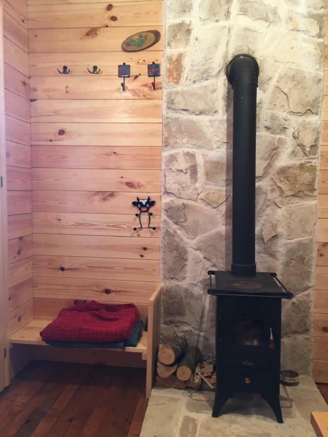 Cozy Cabin Zabljak  Ngoại thất bức ảnh